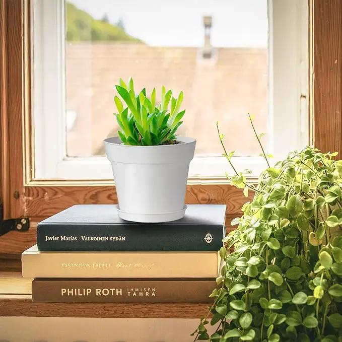 28 Pack 4 inch Small Plant Pots, Plastic Planters with Drainage Holes and Saucers for Flowers Plants, Succulents, Seed Starting Pots, White by GreenHaven Gardens
