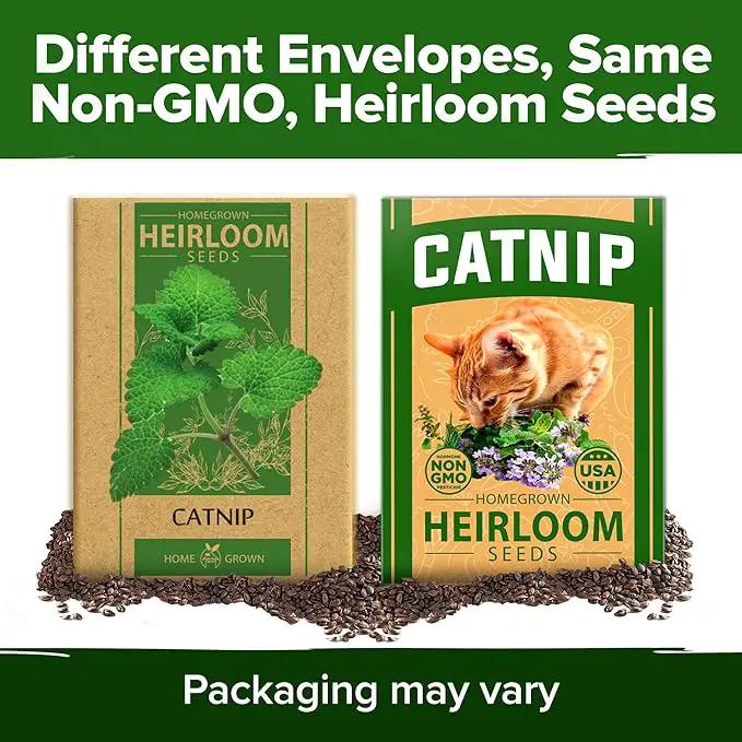 HOME GROWN 𝗨𝗦𝗔 𝗣𝗥𝗘𝗠𝗜𝗨𝗠 Catnip Seeds (Bulk Pack) 𝗡𝗢𝗡-𝗚𝗠𝗢 Heirloom Herb 2,116 Seeds - Indoor or Outdoor Seed - High-Germination Cat Nip - Cat Safe Plants (Nepeta cataria) by GreenHaven Gardens