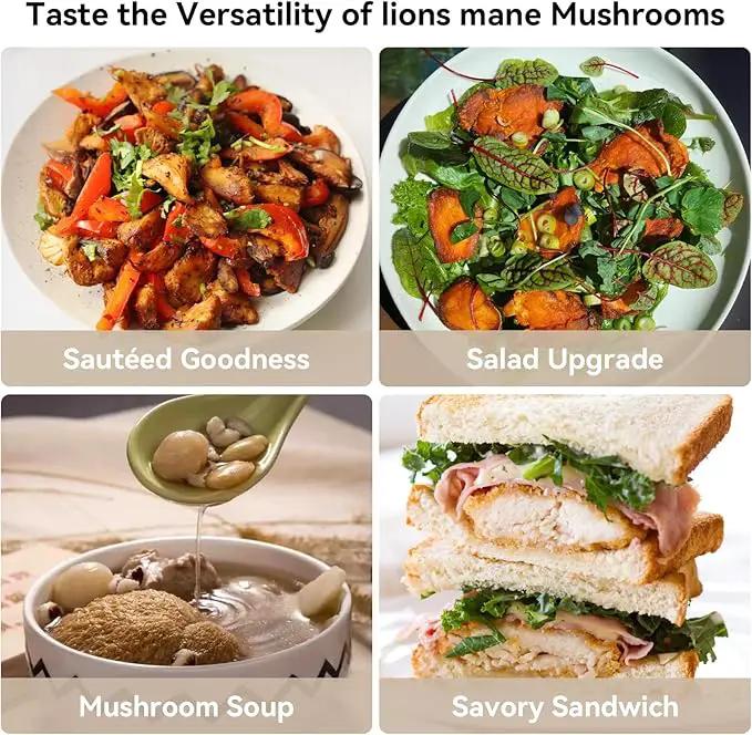 inbloom Large Organic Lion's Mane Mushroom Growing Kit (4 lbs) – Double-Side Growth, Edible Non-GMO Mushroom Kit, Beginner-Friendly, Harvest Mushrooms at Home, Indoor Gardening Gift for Adults by GreenHaven Gardens