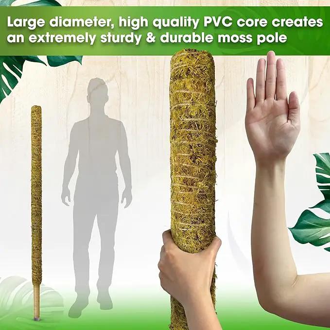 DUSPRO 59 Inches Non-Bendable Pole for Big Plants, Large Moss Pole for Plants Monstera, Plant Stakes for Indoor Plants, Monstera Plant Support, Plant Pole for Big Climbing Plants Indoor (1pc., 59'') by GreenHaven Gardens