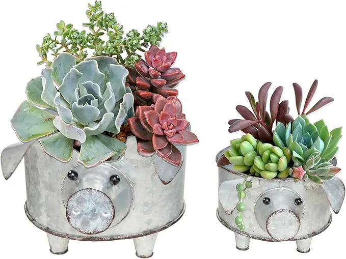 Galvanized Metal Pig Succulent Planter Farmhouse Pig Shaped Bowl Metal Pig Tray Rustic Decor Set of 2 by GreenHaven Gardens