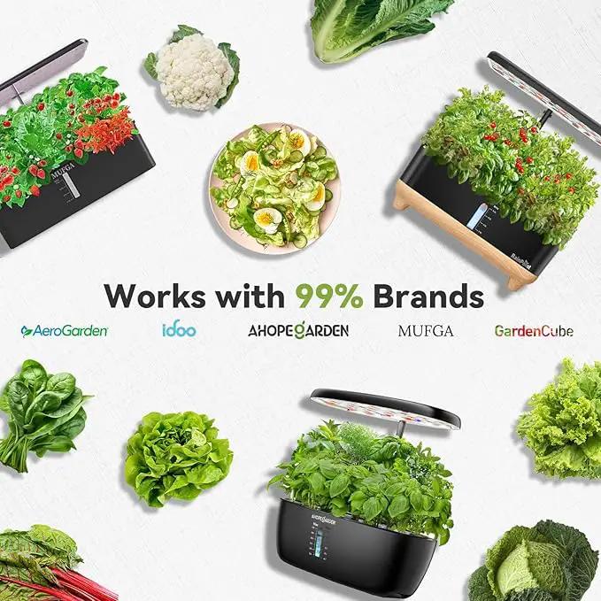 Salad Greens Seed Pod Kit for AeroGarden Hydroponics Growing System, Indoor Home Garden with American Fast/Paris Island/Buttercrunch Lettuce, Swiss Chard, Spinach, Cauliflower and Wild Cabbage, 7 Pods by GreenHaven Gardens