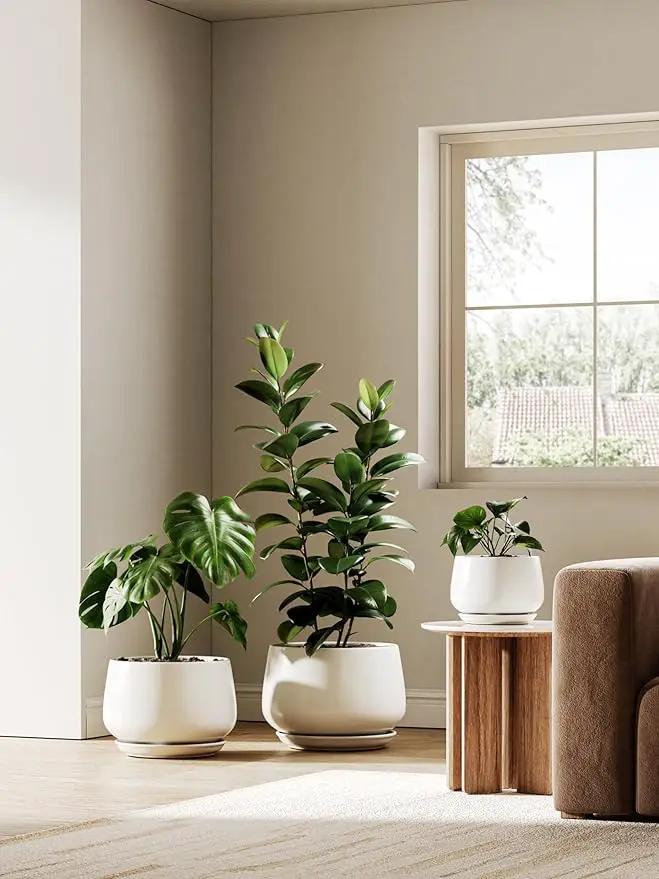 LE TAUCI Ceramic Planters, 12 Inch Pots for Plants, Plant Pots with Drainage Holes and Saucers, Durable and Modern, Planters for Indoor Plants, White by GreenHaven Gardens