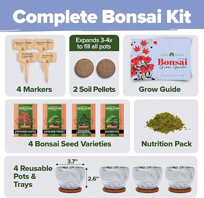 HOME GROWN Bonsai Tree Kit - Premium Ceramic Starter Kit - 4 Variety of Bonsai - Unique Gift for Men and Women Gardeners (BK2-2nd-MF) by GreenHaven Gardens