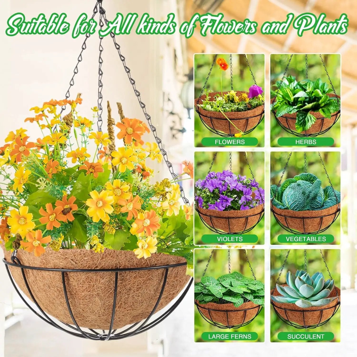 LemonRoad 3 Pack 12 Inch Hanging Baskets for Plants Outdoor Indoor, Metal Hanging Planters with Coconut Fiber Liner Chains and Ceiling Hooks Garden Tools Set for Garden House Patio Decor by GreenHaven Gardens