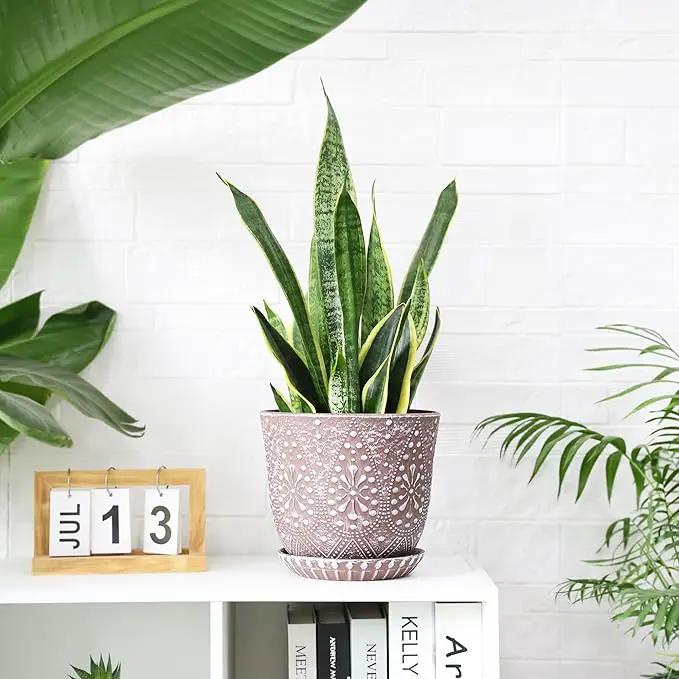 Gepege 8 Inch Plant Pot for Plants, Ceramic Planter with Drainage Holes and Saucers for Indoor Plants Large Flower Pot by GreenHaven Gardens