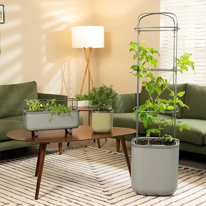 Vego garden Tomato Planter Box with Trellis Self-Watering Rolling Raised Garden Bed for Climbing Vegetables Plants Cage - Sage Green by GreenHaven Gardens