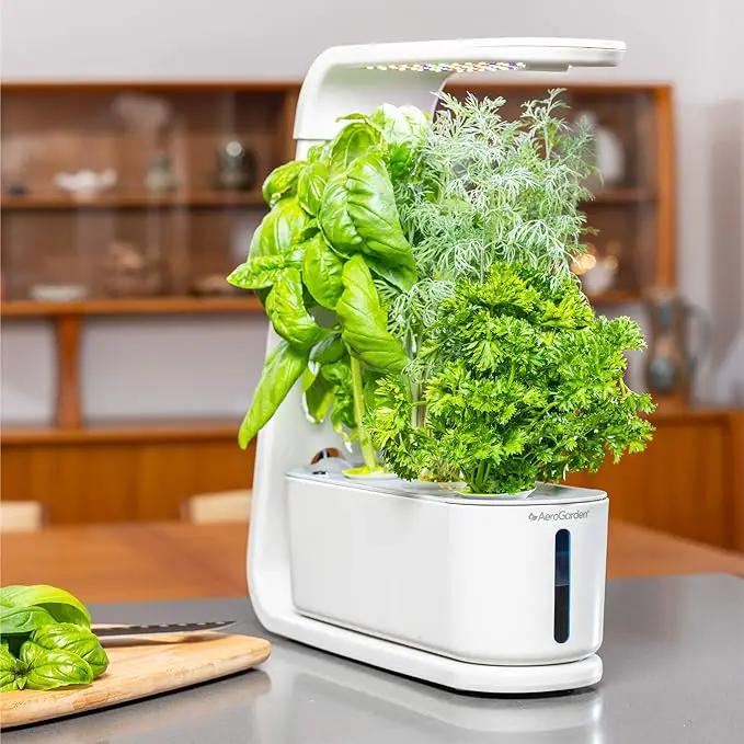 AeroGarden Sprout - Indoor Garden with LED Grow Light, White by GreenHaven Gardens