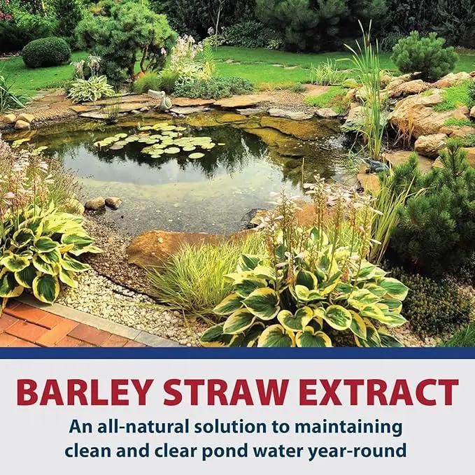 The Pond Guy Barley Extract Natural Liquid Treatment for Ponds and Water Gardens, Safe for Koi Fish and Plants, Natural Solutions for Clear Pond Water - 32 Ounces by GreenHaven Gardens