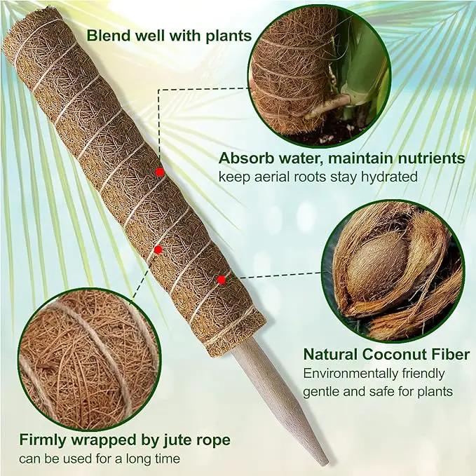 Moss Pole 36 Inch - Monstera Plant Support, 2 Pack 20.5 Inch Plant Stakes for Indoor Plants Coco Coir Moss Pole Sticks for Climbing Potted Live Plants, Pothos, Philodendron, with Garden Ties by GreenHaven Gardens