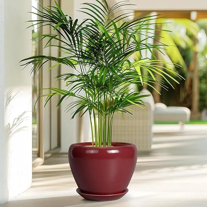 Ceramic Planter - 8 Inch Plant Pot Indoor with Drainage Hole and Saucer Planter for Outdoor Plants Round Flower Pot for House Patio Decor Red by GreenHaven Gardens