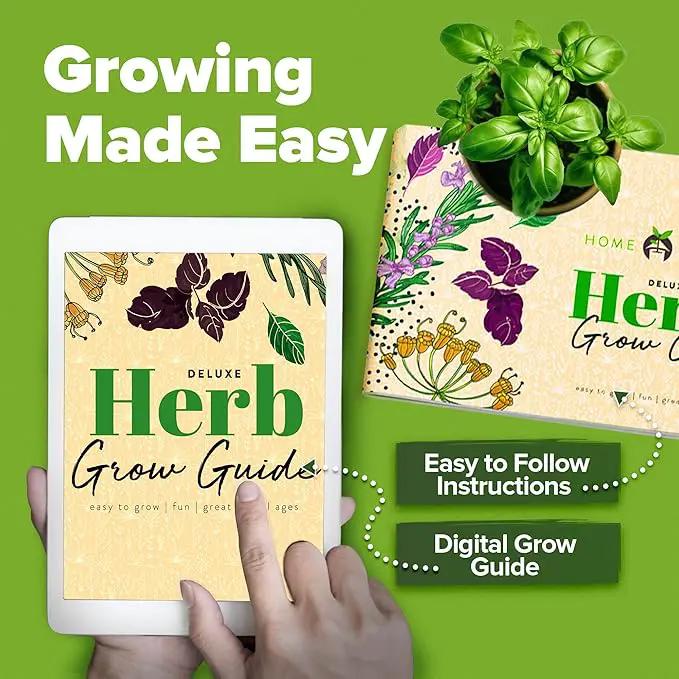 HOME GROWN Indoor Herb Garden Kit w/Glazed Ceramic Pot - Easy-to-Grow Kitchen Window Gardening Starter Set - Unique Housewarming Gift for Women, Mom, Gardeners, Friend, Her, Mother by GreenHaven Gardens