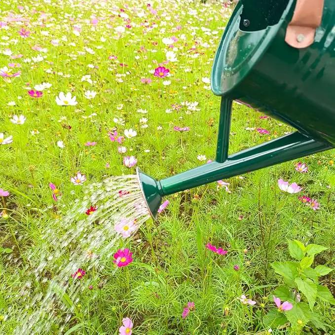 Metal Watering Can for Outdoor and Indoor Plants, Watering Can Decor, 1 Gallon (NewGreen) by GreenHaven Gardens