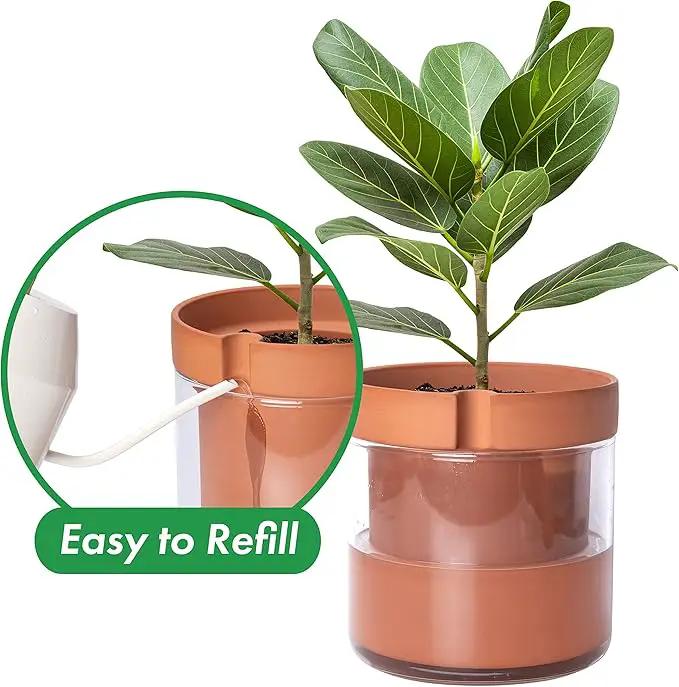 Phoenix Vine 8 Inch Self Watering Planter Pot, Terracotta Clay Pot with Glass Reservoir for Indoor Plants, Herbs, Flowers, Set of 1, 52-A-H-1 by GreenHaven Gardens