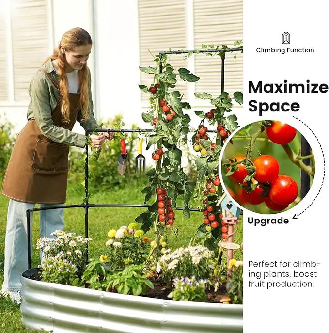 KING BIRD Raised Garden Bed with Wall Trellis Galvanized Planter Garden Box Outdoor for Gardening, Climbing Vegetables, Flowers 5.9x2.95x0.98 Ft, Silver by GreenHaven Gardens