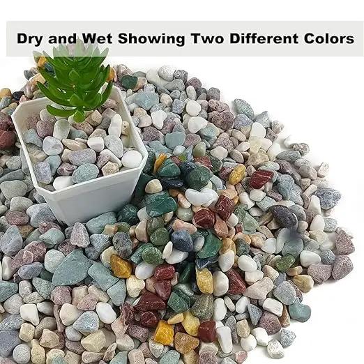 45LB Succulents Rocks for Plants Cactus Gravel Pebbles for Fish Tank 1/2 Inch Natural River Rocks for Vase, Aquarium, Landscaping,Bonsai,Terrarium Pebbles, Mixed Color by GreenHaven Gardens