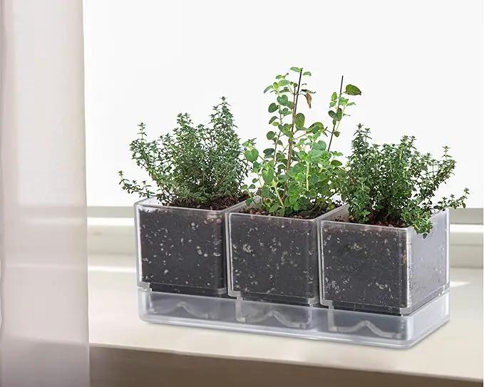 D'vine Dev Herb Garden Planter Set, Plastic Plant Pots with Drainage and Saucer, Indoor Succulent Cactus Vegetable Pot for Windowsill, Garden Balcony, Clear, Set of 2, 76-V-D-2 by GreenHaven Gardens