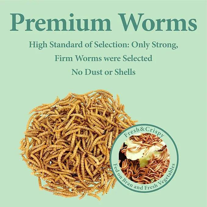 3LB Dried Mealworms, Great Treat for Chicken, Duck, Birds, Reptile, Hamster,Hedgehog, Pigeon by GreenHaven Gardens