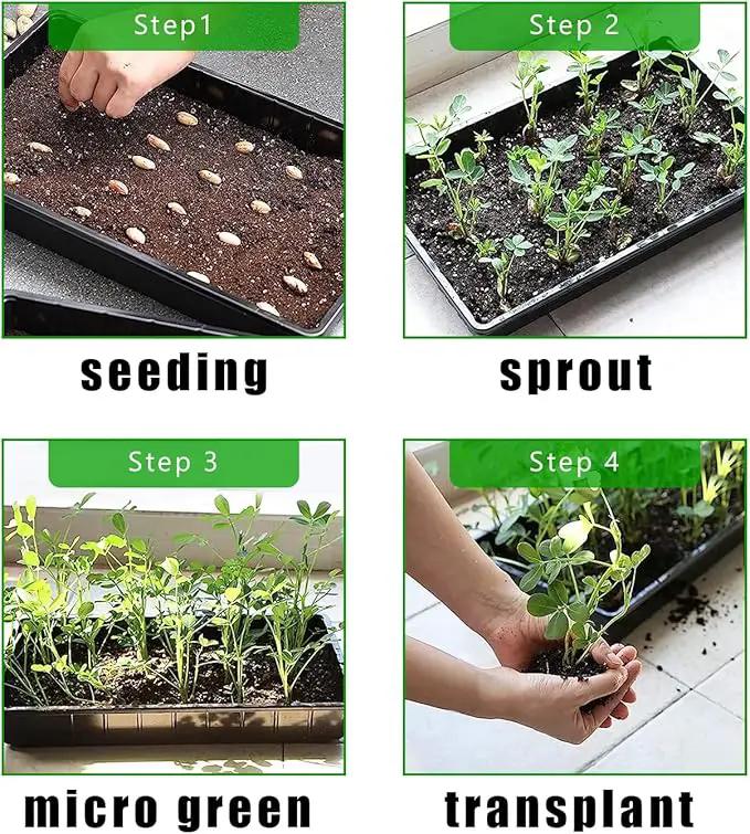 Plant Growing Nursery, Standard 1020 Trays Plastic Seeds Starter Trays Sturdy Self Seedling Tray for Microgreens Indoor Nursery Pots (10-Pack, 21.6"×11.2", 2.52" Deep, no Holes) by GreenHaven Gardens
