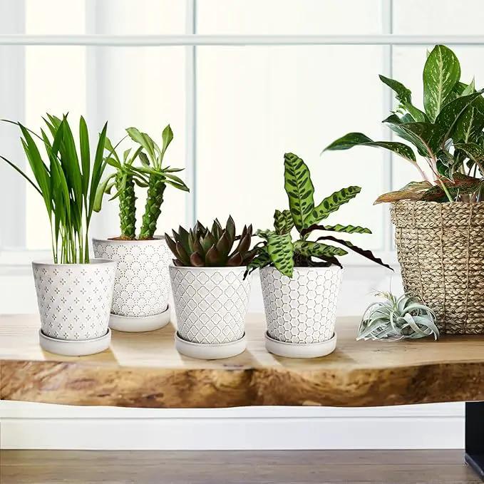 EFISPSS Ceramic Plant Pots Indoor, 5 Inch Planters with Drainage Holes and Ceramic Tray, Relief Design Flower Planter, Desktop Office Windowsill Decoration Gift Set of 4, White by GreenHaven Gardens