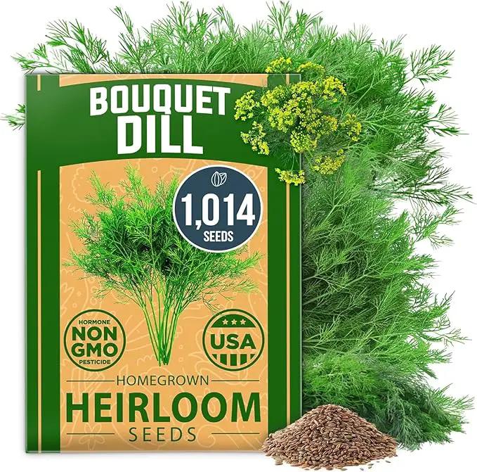 HOME GROWN 𝗨𝗦𝗔 𝗣𝗥𝗘𝗠𝗜𝗨𝗠 Dill Seeds for Planting 1,014 Bouquet Dill Seeds 𝗡𝗢𝗡-𝗚𝗠𝗢 and Heirloom Herb Seeds for Planting Outdoors, Grow Your Fragrant Dill Herb Garden (Anethum graveolens) by GreenHaven Gardens
