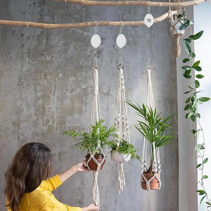Plant Pulleys for Hanging Plants, Heavy Duty Retractable Hangers, 304 Stainless Steel Rope, Auto Plant Holder, Adjustable Climbing Hook for Garden Baskets Watering, or Bird Feeders (White-6) by GreenHaven Gardens