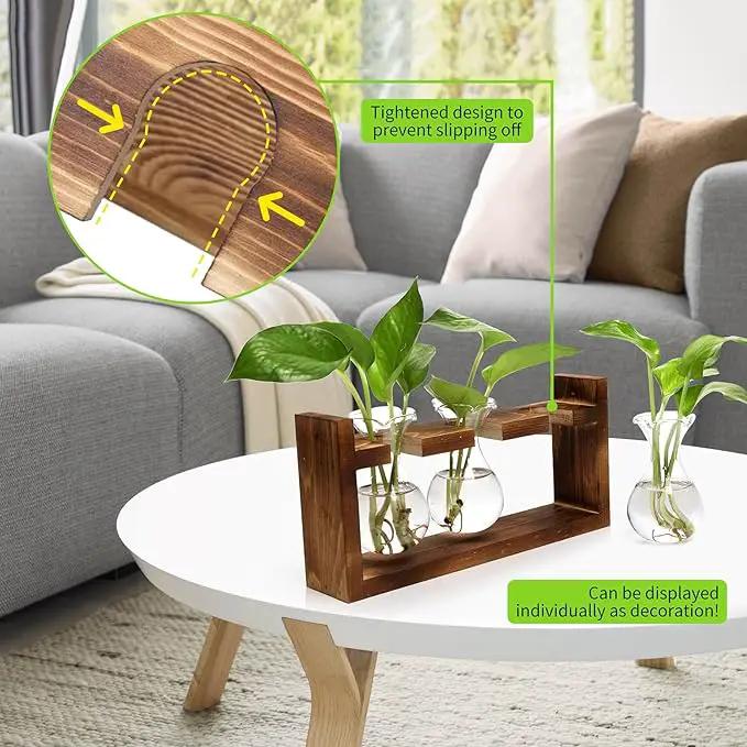 Plant Propagation Station Plant Terrarium Unique Birthday Gifts for Women Plant Lovers Home Office Decor Planter with Wooden Stand - 3 Bulb Glass Vase by GreenHaven Gardens