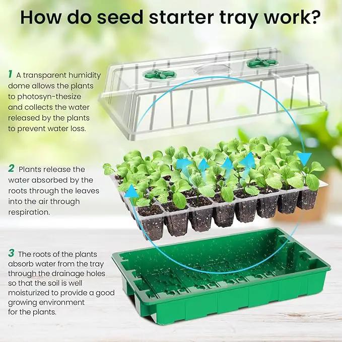 MIXC Seed Starter Tray with Lights, 2 Packs Mini Propagator Plant Grow Kit Greenhouse with Humidity Vented Domes and Base for Seeds Starting, Green by GreenHaven Gardens