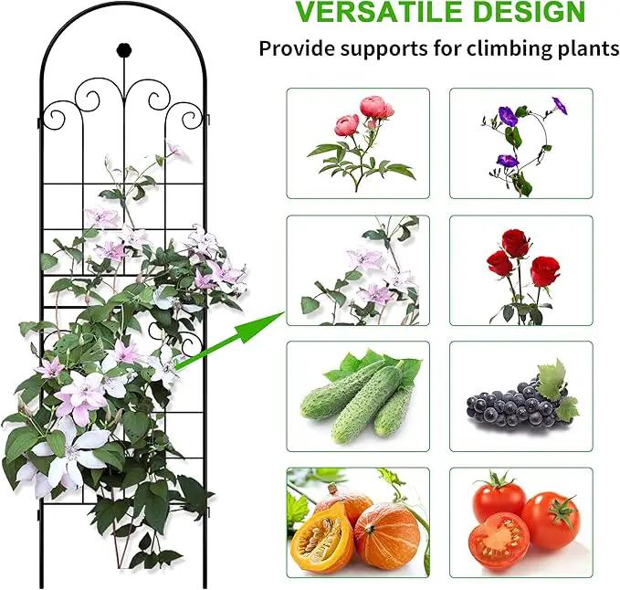 LZRS 4 Pack 71x20in Rustic Iron Arch Decoration Garden Trellis with Black Metal Coating – Perfect for Supporting Climbing Plants Outdoor, Roses, Vines, Flowers, and Vegetables. by GreenHaven Gardens