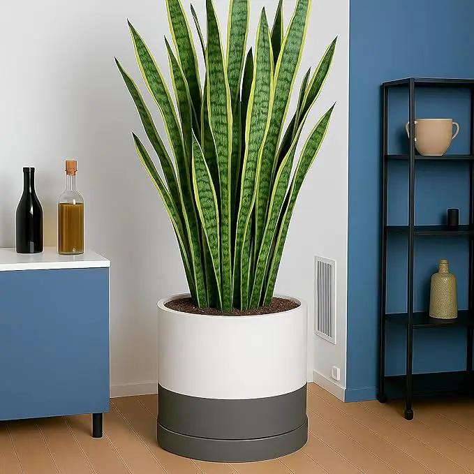 D'vine Dev 14 Inch Ceramic Planter Pot with Drainage Hole and Saucer, Indoor Cylinder Round Planter Pot, White/Speckled Grey, 94-O-G-6 by GreenHaven Gardens