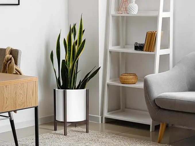 D'vine Dev Planter with Stand - 12 Inch Plastic Cylinder Flower Pot with Wood Holder for Indoor, Matte White Pot + Walnut Color Stand, 55-C-O-1 by GreenHaven Gardens