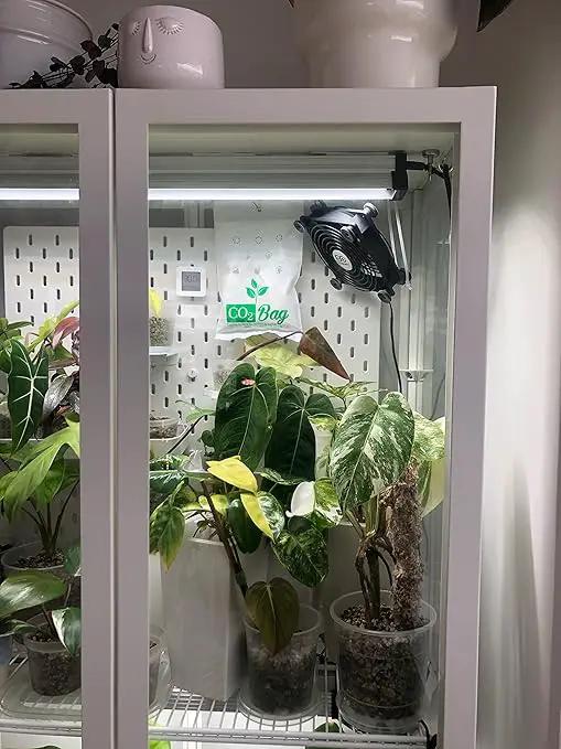 CO2BAG® for Indoor Growing -Medium-2-Pack by GreenHaven Gardens