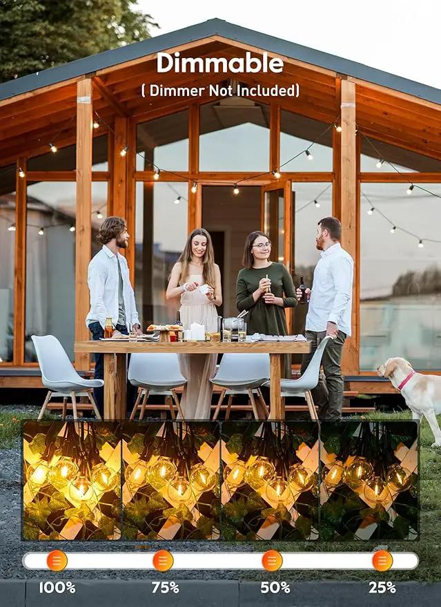 Brightown G40 Replacement LED Light Bulbs, 25 Pack Clear Globe Bulb fits E12 C7 Candelabra Screw Base Sockets, 1.5 Inch Dimmable Edison Light Bulbs for Indoor Outdoor Patio Decor, Warm White by GreenHaven Gardens