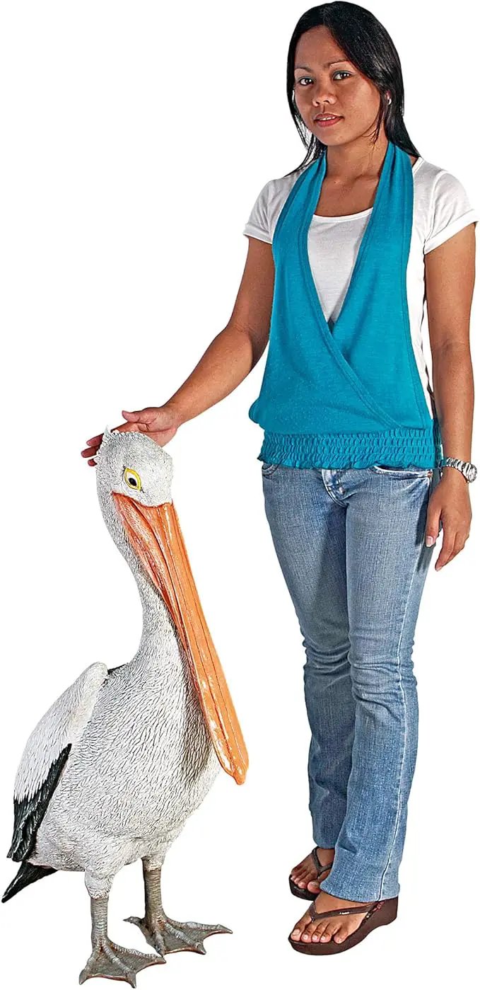 Design Toscano NE90073 The Giant White Pelican Statue,full color 34 inch by GreenHaven Gardens