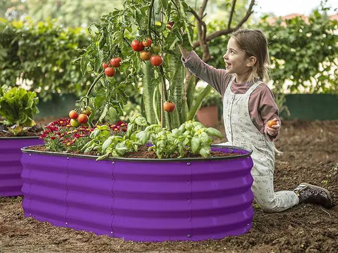 Galvanized Raised Garden Beds Outdoor // 4×2×1 ft Planter Raised Beds for Gardening, Vegetables, Flowers // Large Metal Garden Box (Purple) // Patented Tool-Free Design by GreenHaven Gardens