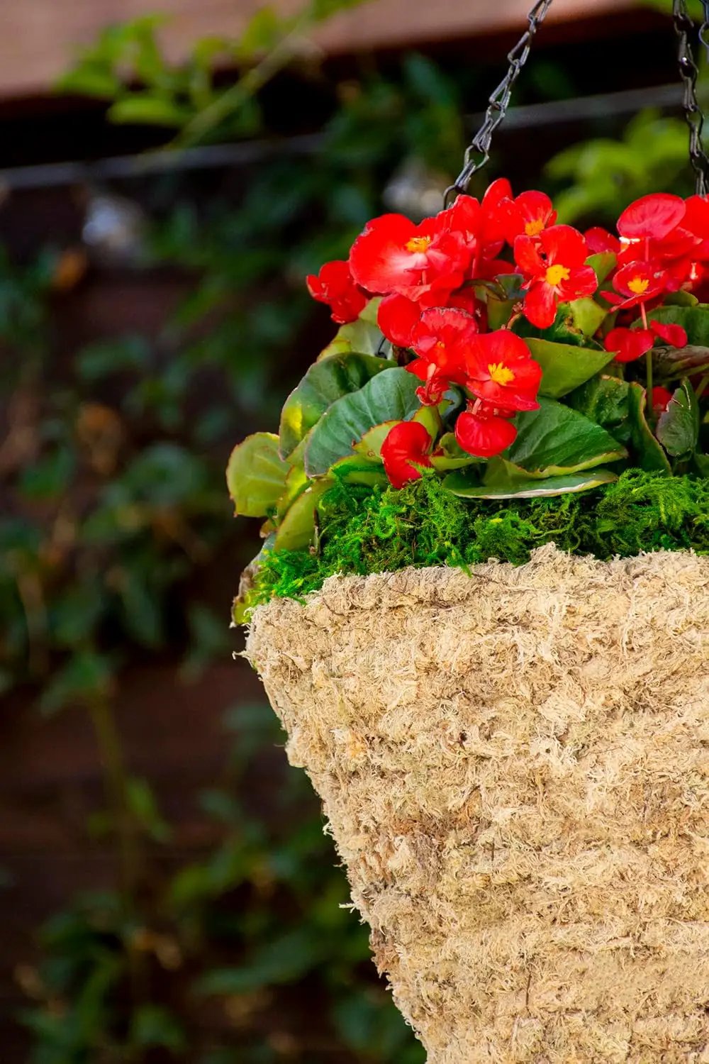 SuperMoss (29247D MossWeave Hanging Basket | Outdoor Hanging Planter with Moss | Decorative Plant Hanger for Porch, Balcony, Garden & Home Décor, Pyramid, Small 12.5” D, Blond by GreenHaven Gardens