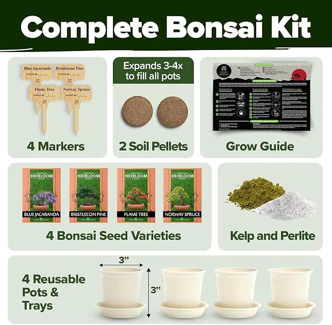 Bonsai Tree Kit - Gifts for Men & Women - Grow 4 Bonsai Trees - Unique Gardening Crafts for Adults, DIY Hobbies for Plant Lovers & Gardeners - Unusual Christmas Gift Ideas for Mom & Dad by GreenHaven Gardens