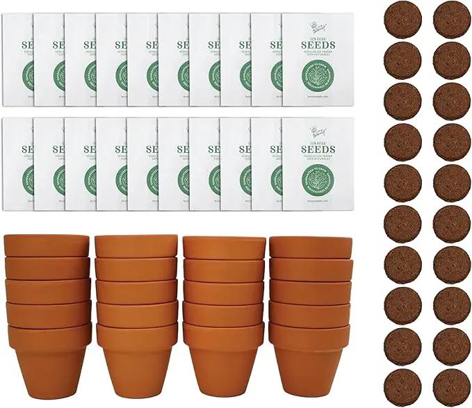 BUZZY Seeds Spruce Terracotta Mini Grow Pots | Tree Starter Kit for Kids & Adults | Bulk 20-Pack | Guaranteed to Grow | Best Indoor Grow Your Own Gardening Gift | Craft & Classroom Projects by GreenHaven Gardens