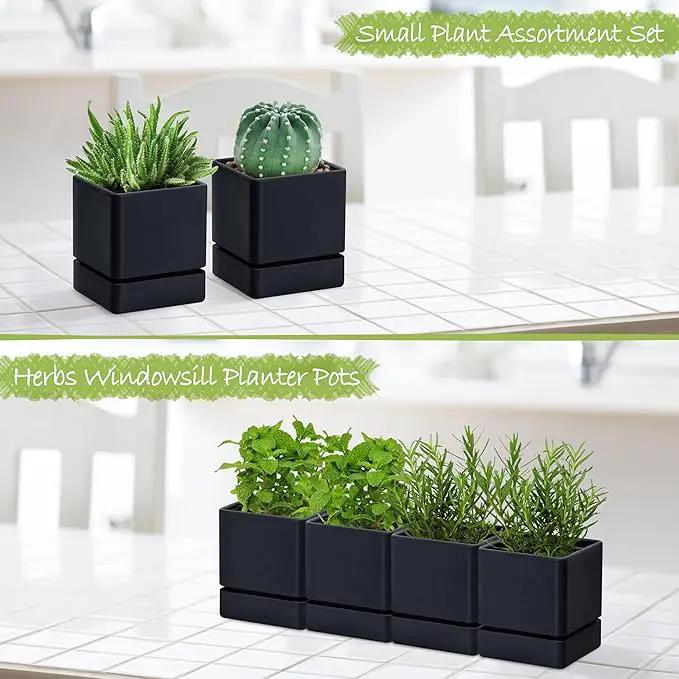 4 Inch Herb Planter Pot, Plastic Planter with Drainage Holes and Saucer, Modern Decorative Gardening Pot for Indoor Plants, Flowers, Herbs, Succulents, Black, Set of 4, 76-Y-B-4 by GreenHaven Gardens