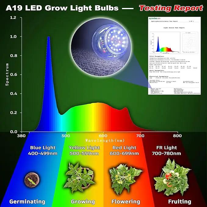E12 Candelabra Grow Light Bulbs for Indoor Plants Full Spectrum,Small Base Grow LED Lamp Bulb 10W with Balanced Spectrum 5000K Red Blue for Seeds Greens Laboratory,School,Greenhouse, Hydroponic,3Pack by GreenHaven Gardens