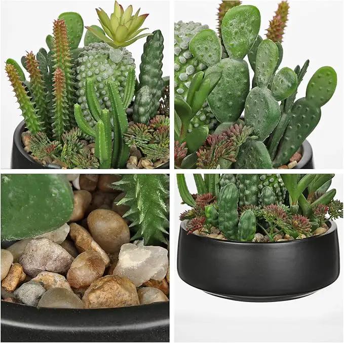 DILATATA Artificial Cactus Plants in Pot 5.5 Inch Fake Succulents Arrangement Potted Plant in Black Ceramic Planter Bowl for Home Office Desk Shelf Living Room Bedroom Bathroom Decor by GreenHaven Gardens