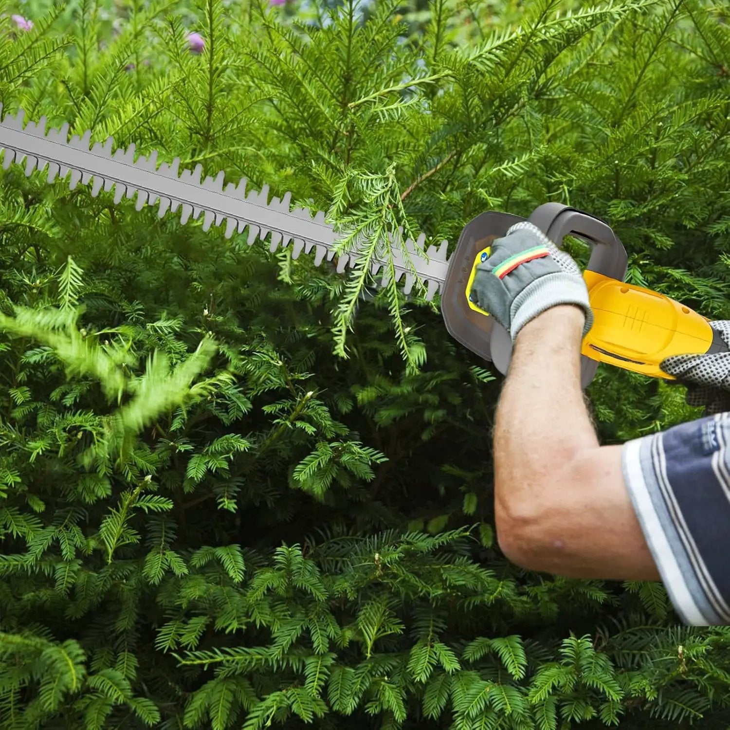 Hedge Trimmer Compatible for Dewalt 20V 60V DCB206 DCB609，Cordless Electric Hedge Trimmer with 1600RPM Brushless Motor, 22'' Dual-Action Blade with 3/5'' Cutting Capacity (NO Battery) by GreenHaven Gardens
