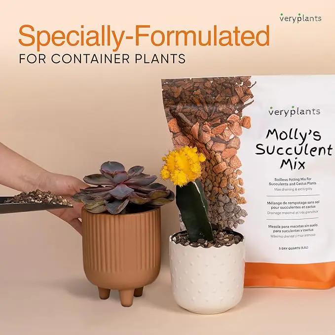 Molly's Succulent Mix - Premium Gritty Soilless Potting Mix for Succulents, Cactus and Bonsai - Contains Akadama, Hyuga, Bark Fines, Pumice, Lava Rock, Mycorrhizae 5 Dry Quarts by GreenHaven Gardens