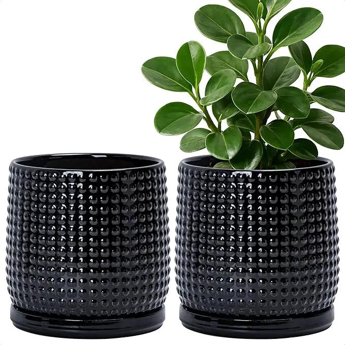 D'vine Dev Set of 2 Ceramic Plants Pots, 6 Inch Beaded Stoneware Flower Pot for Plants with Drainage Hole and Saucer, Glossy Black, 27-E-X-2 by GreenHaven Gardens