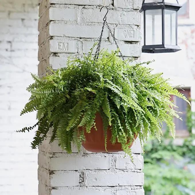 YIKUSH Hanging Planter for Indoor and Outdoor Plants 2 Pack 12 inch Flower Pot Plastic Plant Pot with Drainage Hole and Absorbing Tray（Terracotta） by GreenHaven Gardens