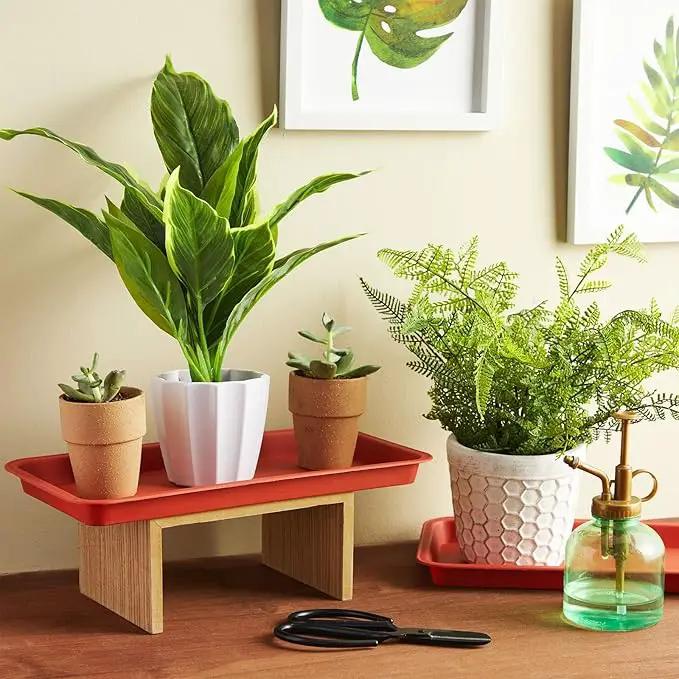 Juvale 8 Pack Plastic Plant Drip Trays for Planters, Pots, Rectangular Saucer Pans for Indoors, Outdoors (Terracotta Red, 6.5x12 in) by GreenHaven Gardens