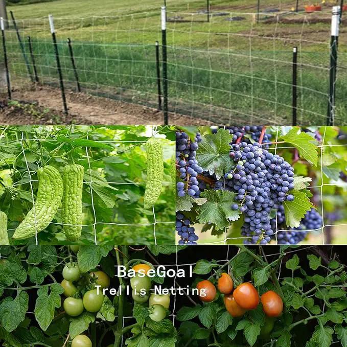 All-Weather Trellis Netting Mesh Plant Garden Vine Growing Flexible String Net by GreenHaven Gardens