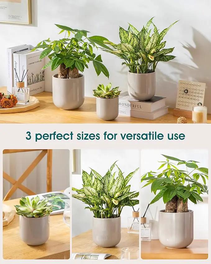 vancasso Ceramic Plant Pots, 4+5+6 inches, Set of 3, Planters with Drainage Hole, Flower Pots Planters Pots for Indoor Plants, Modern Indoor Decorative Garden Pot, Home Decor, Gray by GreenHaven Gardens