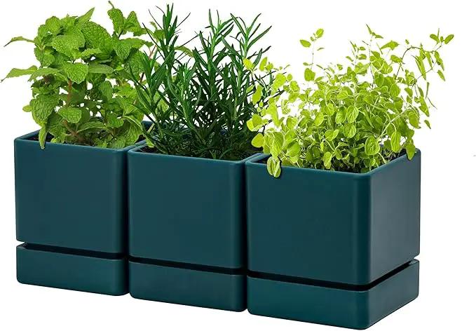 4 Inch Herb Planter Pot, Plastic Planter with Drainage Holes and Saucer, Modern Decorative Gardening Pot for Indoor Plants, Flowers, Herbs, Succulents, Green, Set of 3, 76-Y-C-3 by GreenHaven Gardens