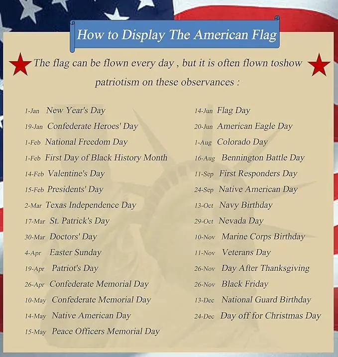 Homissor American Flag 8x12 Outdoor Heavy Duty - Embroidered Star Large USA 8x12 Ft Flags - Longest Lasting US Made from Nylon Sewn Stripes Indoor With 4 Brass Grommets by GreenHaven Gardens